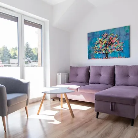 Ms-apart Nowy Zdroj Apartment